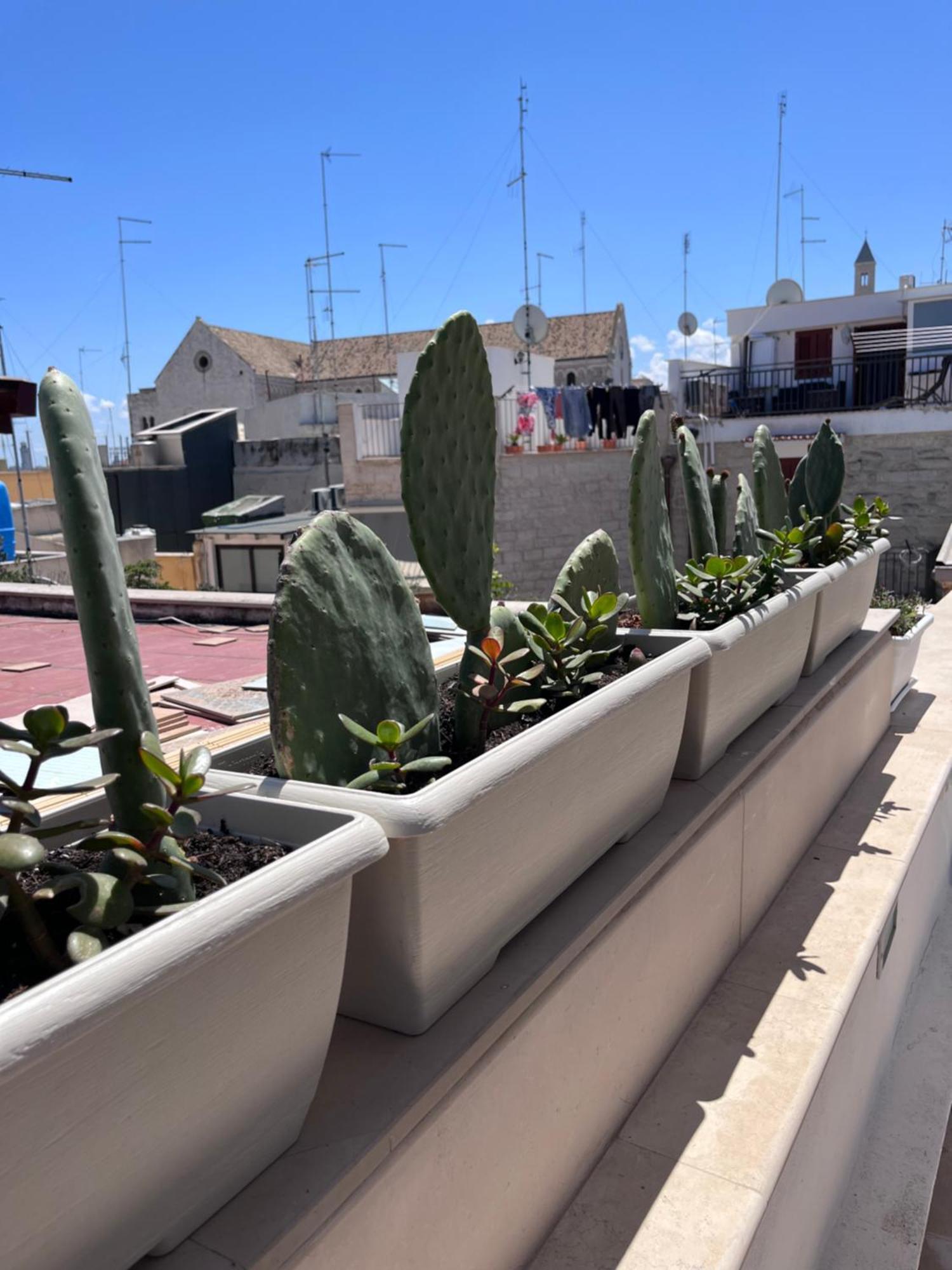 Casa Franca - Terracielo A Bari Vecchia Villa Exteriör bild